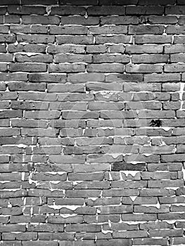 Grunge horizontal blackÃ¢â¬â¹ andÃ¢â¬â¹ whiteÃ¢â¬â¹ tone brick wall. photo